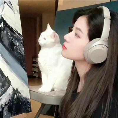 神骡大闹脂粉阵